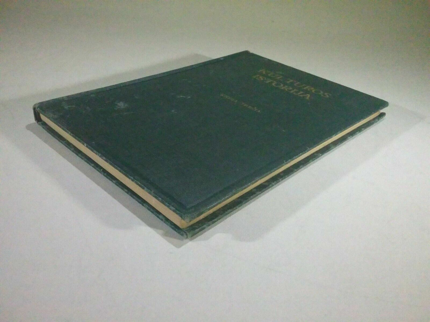 Image #4