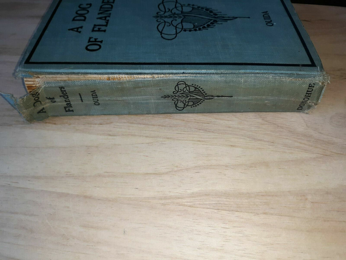 Image #5