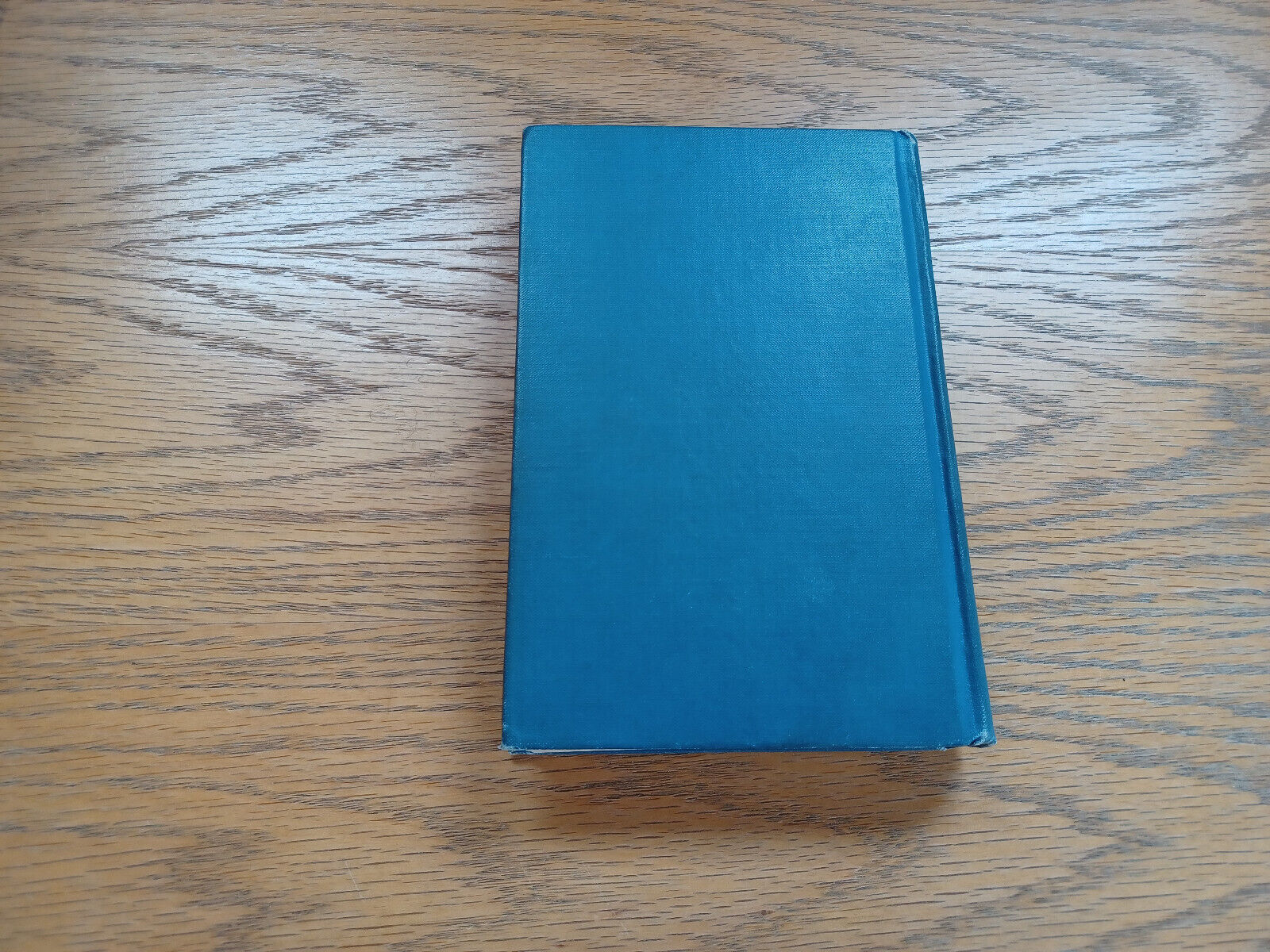 Image #6