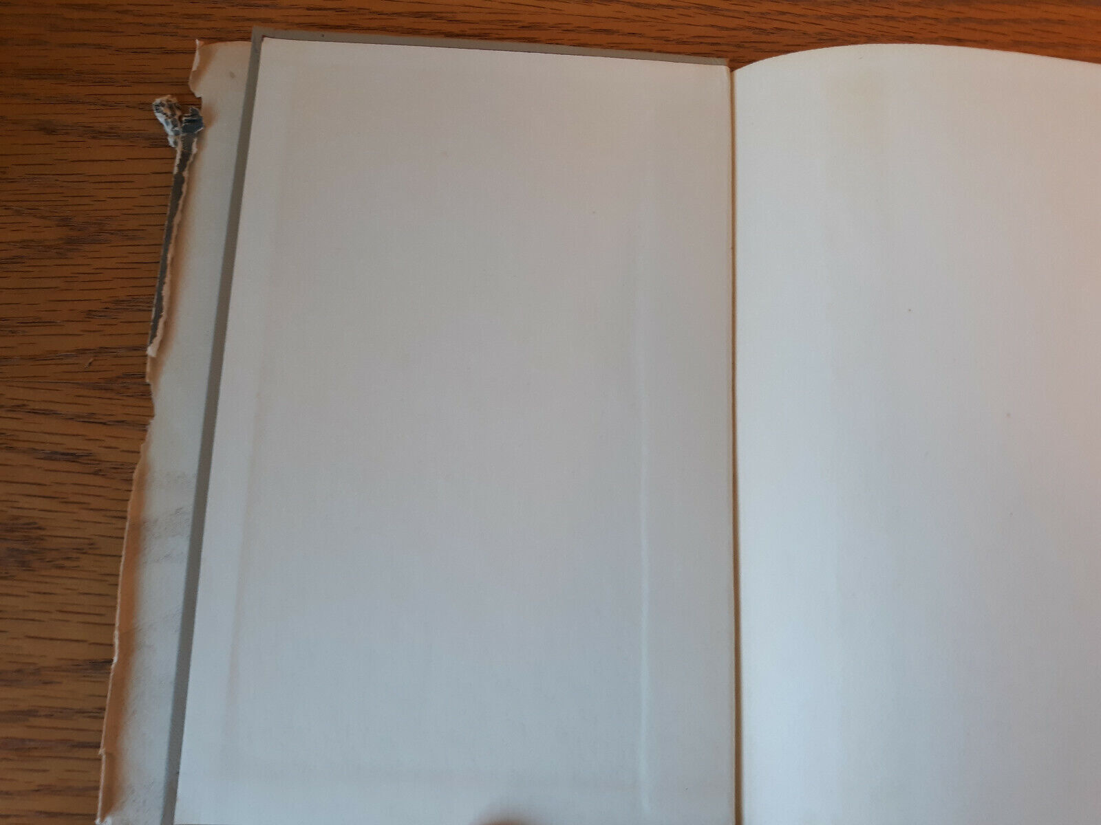 Image #7
