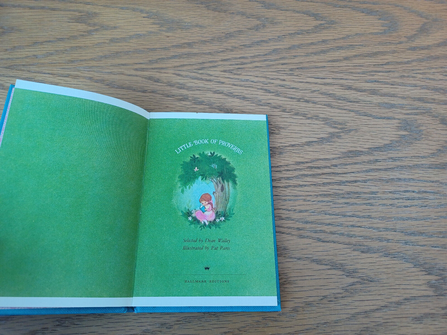 Image #7