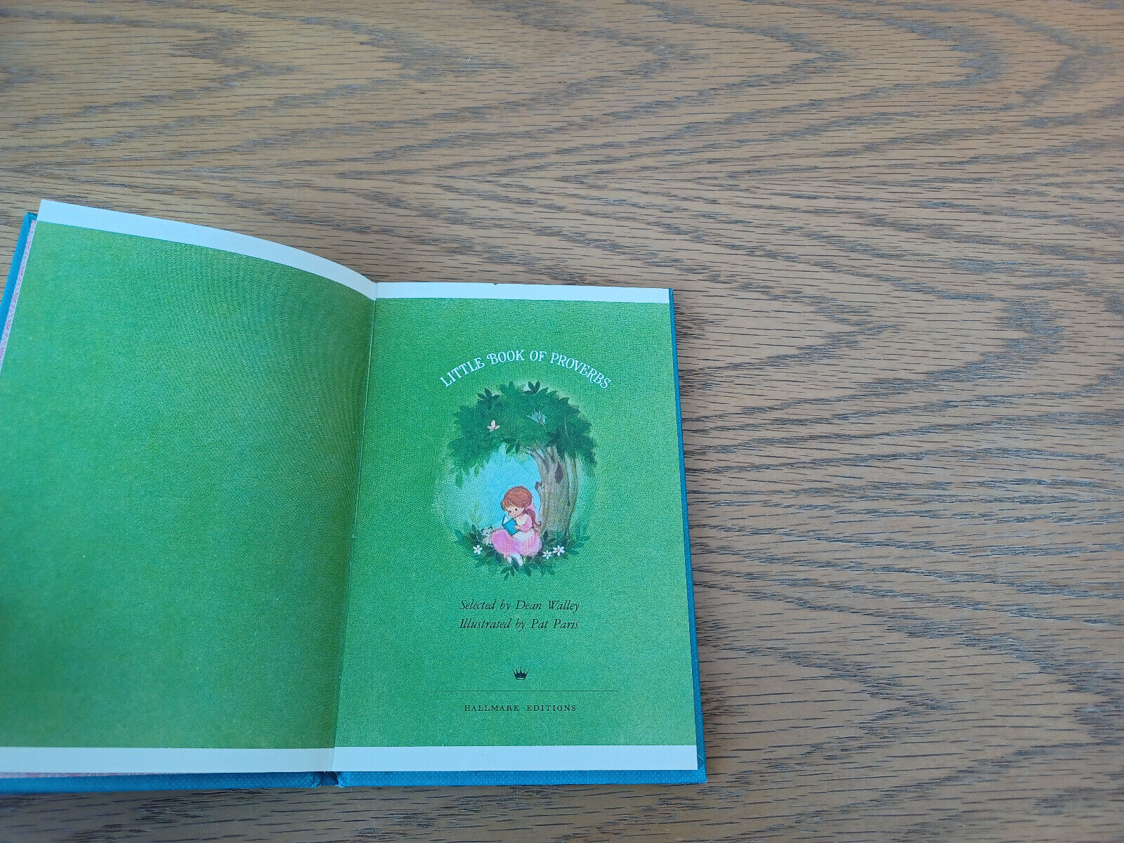Image #7