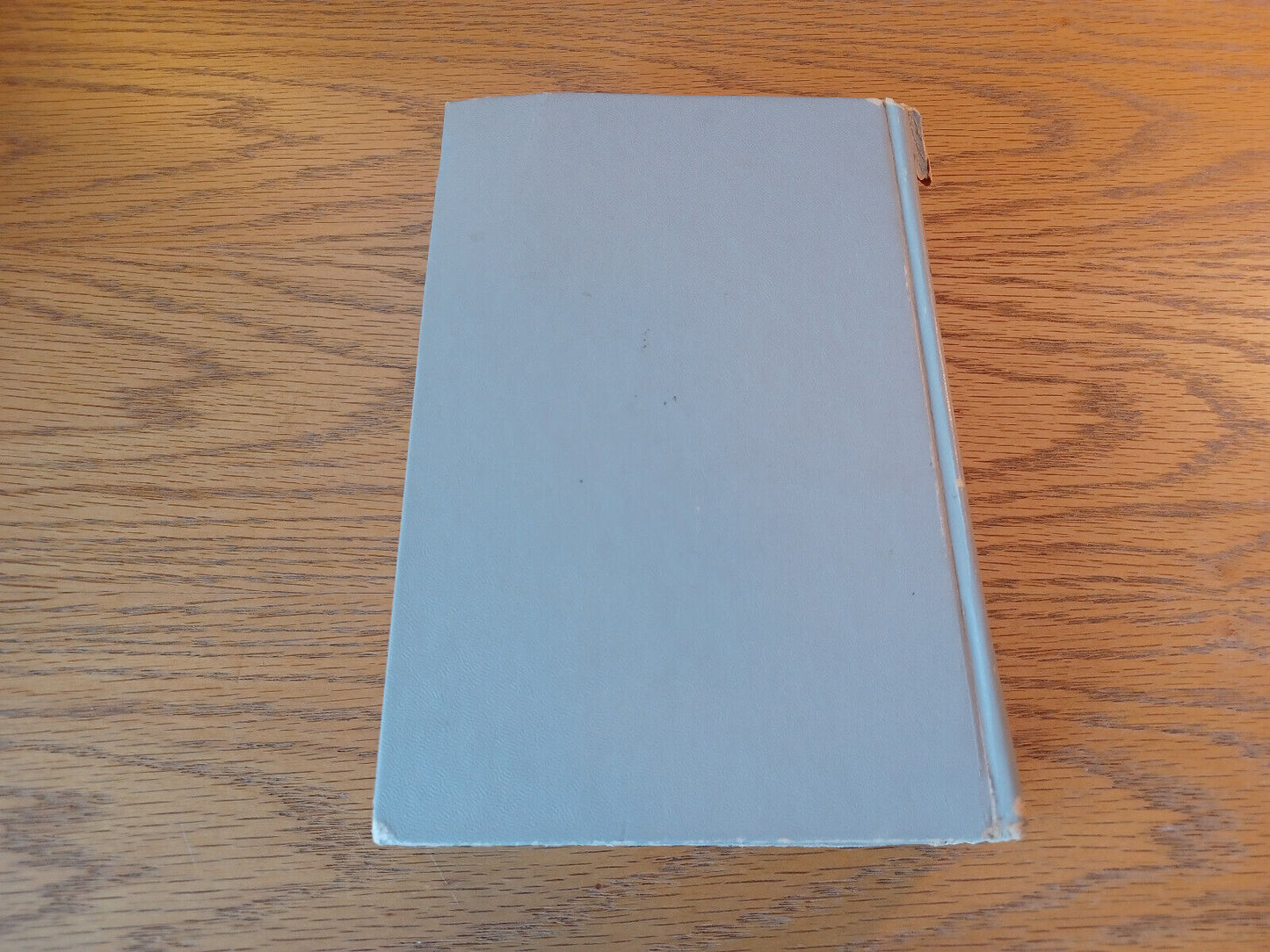 Image #6