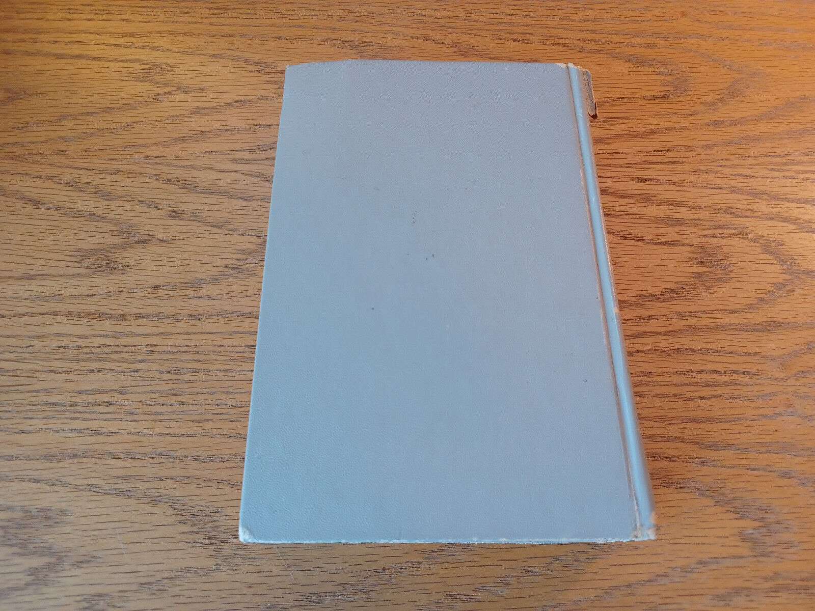 Image #6