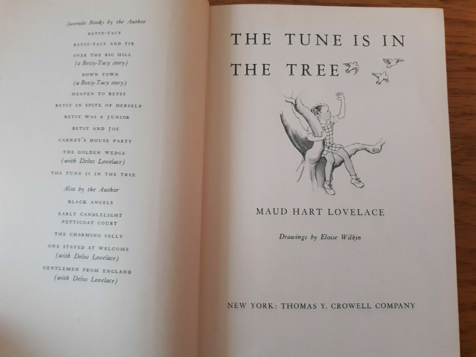 Image #8