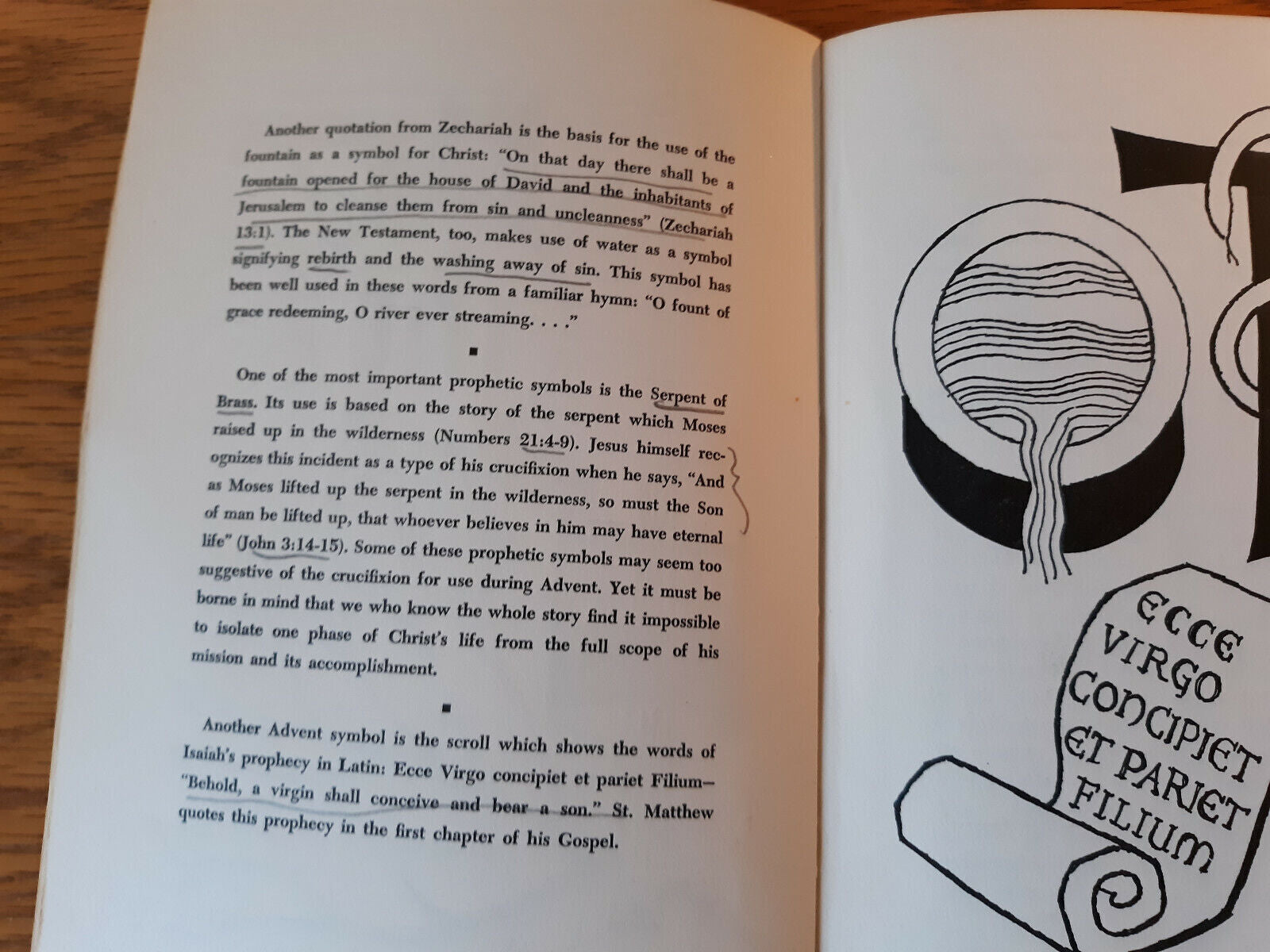 Image #10