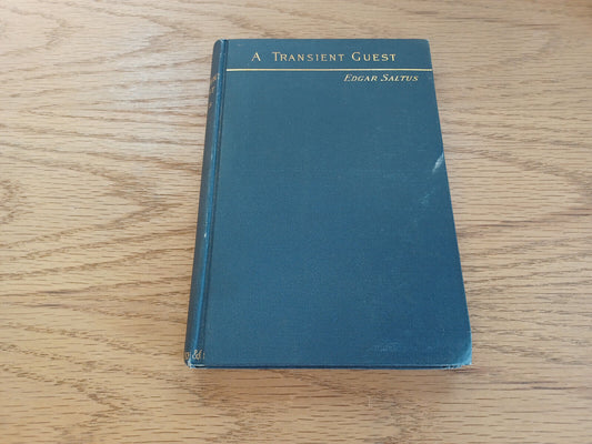 A Transient Guest And Other Episodes Edgar Saltus 1889