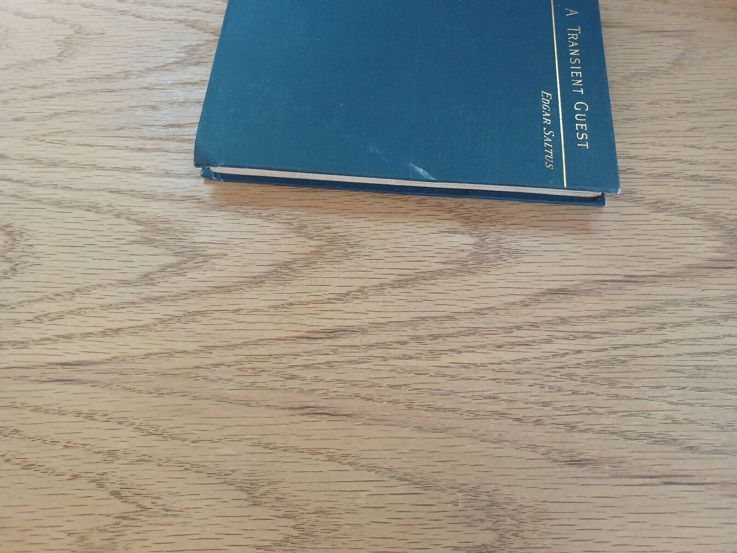 A Transient Guest And Other Episodes Edgar Saltus 1889