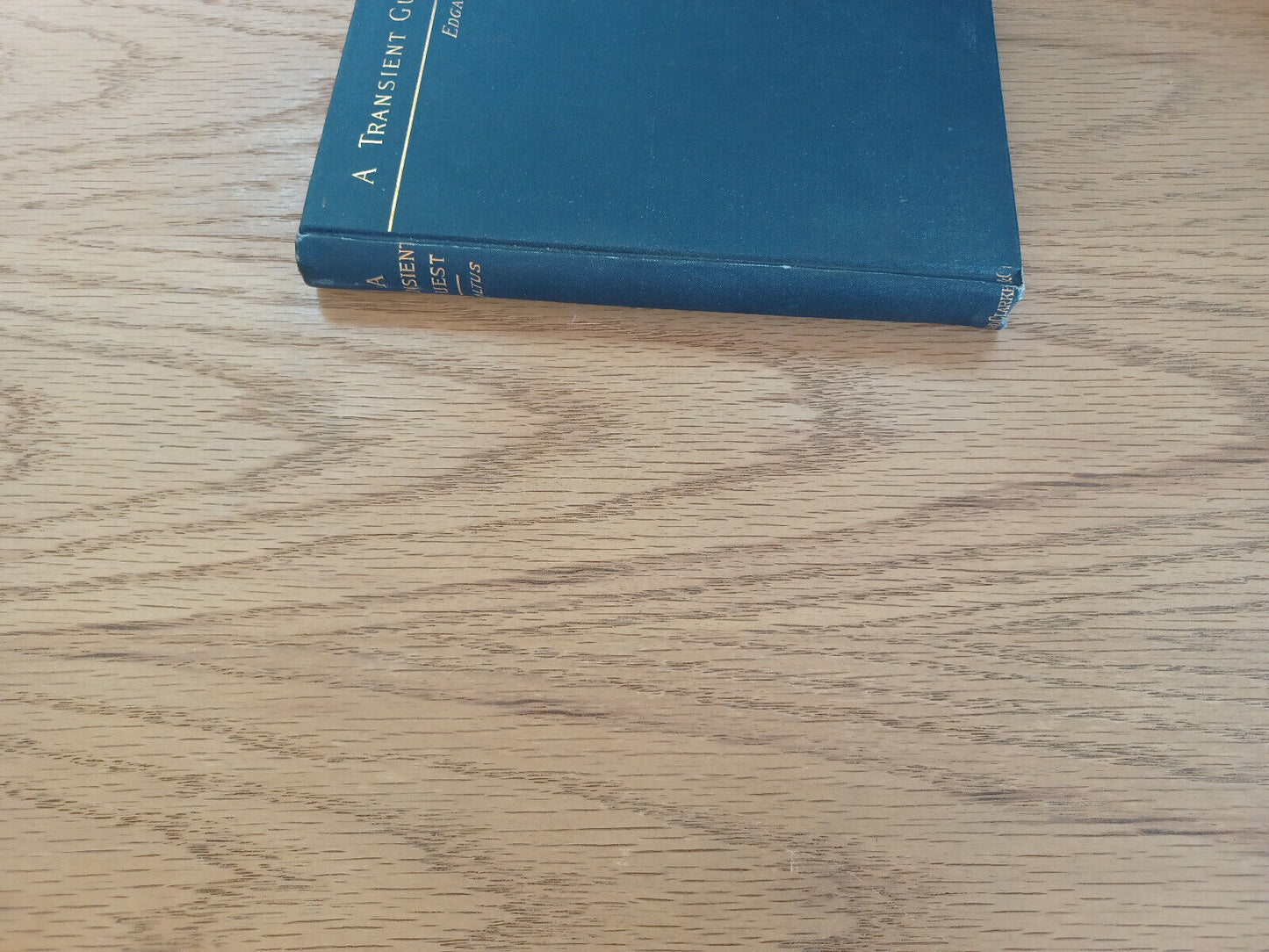 A Transient Guest And Other Episodes Edgar Saltus 1889