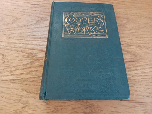 Works J Fenimore Cooper Headsman Lionel Lincoln Brave Heidenmauer Vol Ten 1893