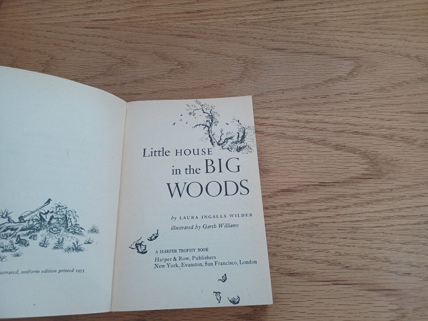 Laura Ingalls Wilder In The Big Woods 1971