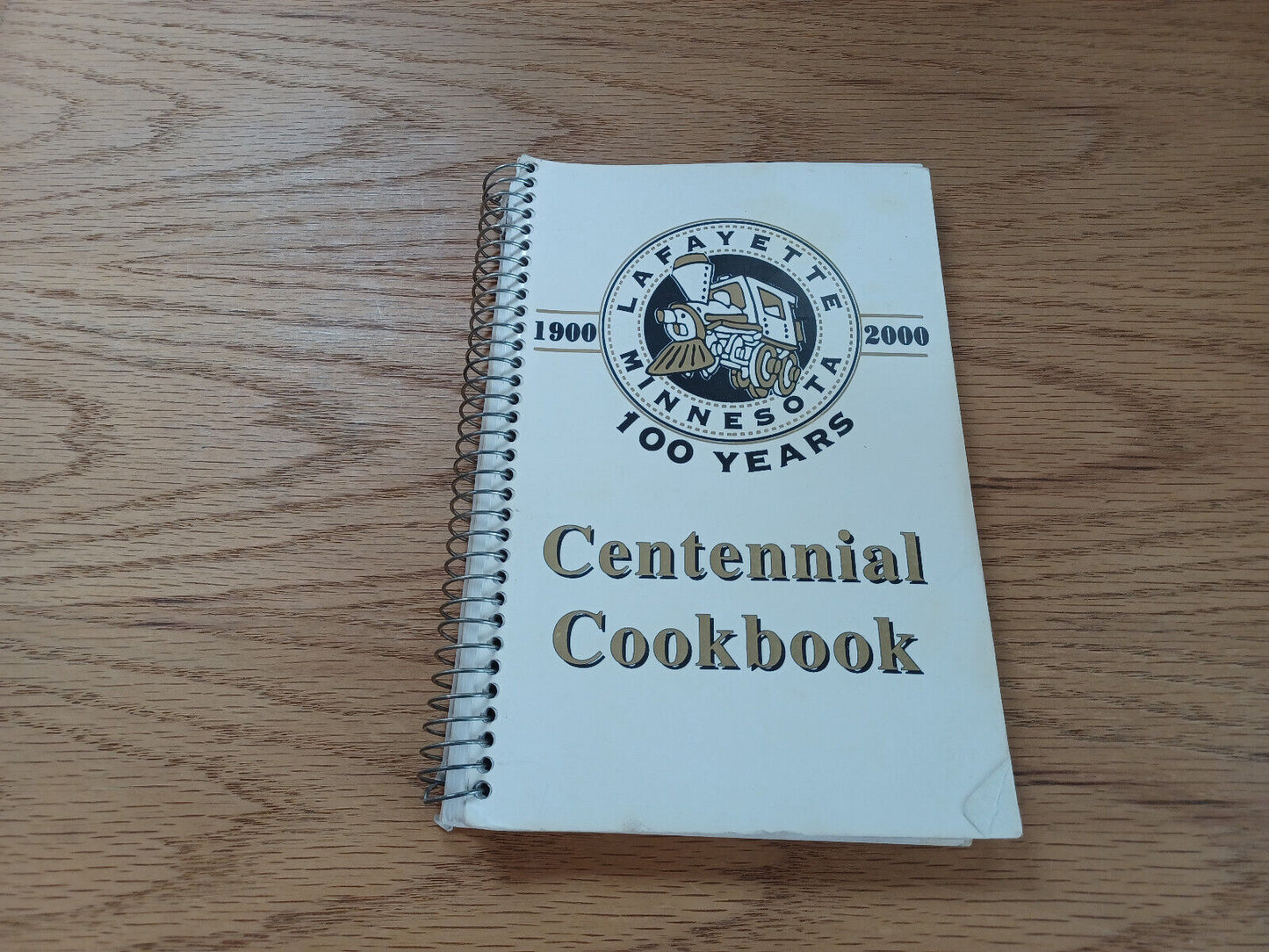 Lafayette Minnesota 1900-2000 100 Years Centennial Cookbook Mn