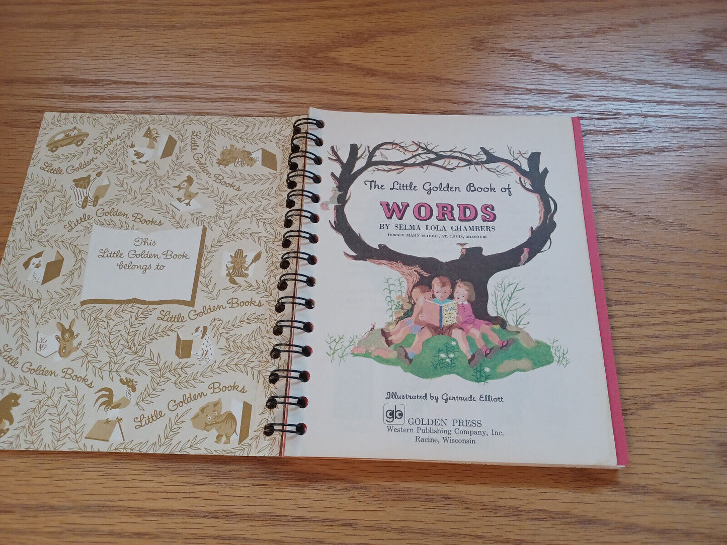 The Little Golden Book Of Words Selma Lola Chambers 1978