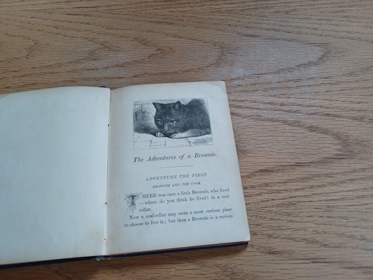 The Adventures Of A Brownie 1872 Author Of John Halifax Gentleman