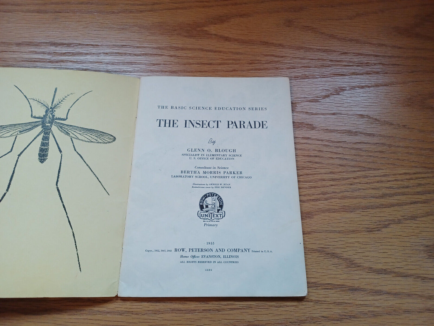 The Insect Parade By Glenn Blough 1955