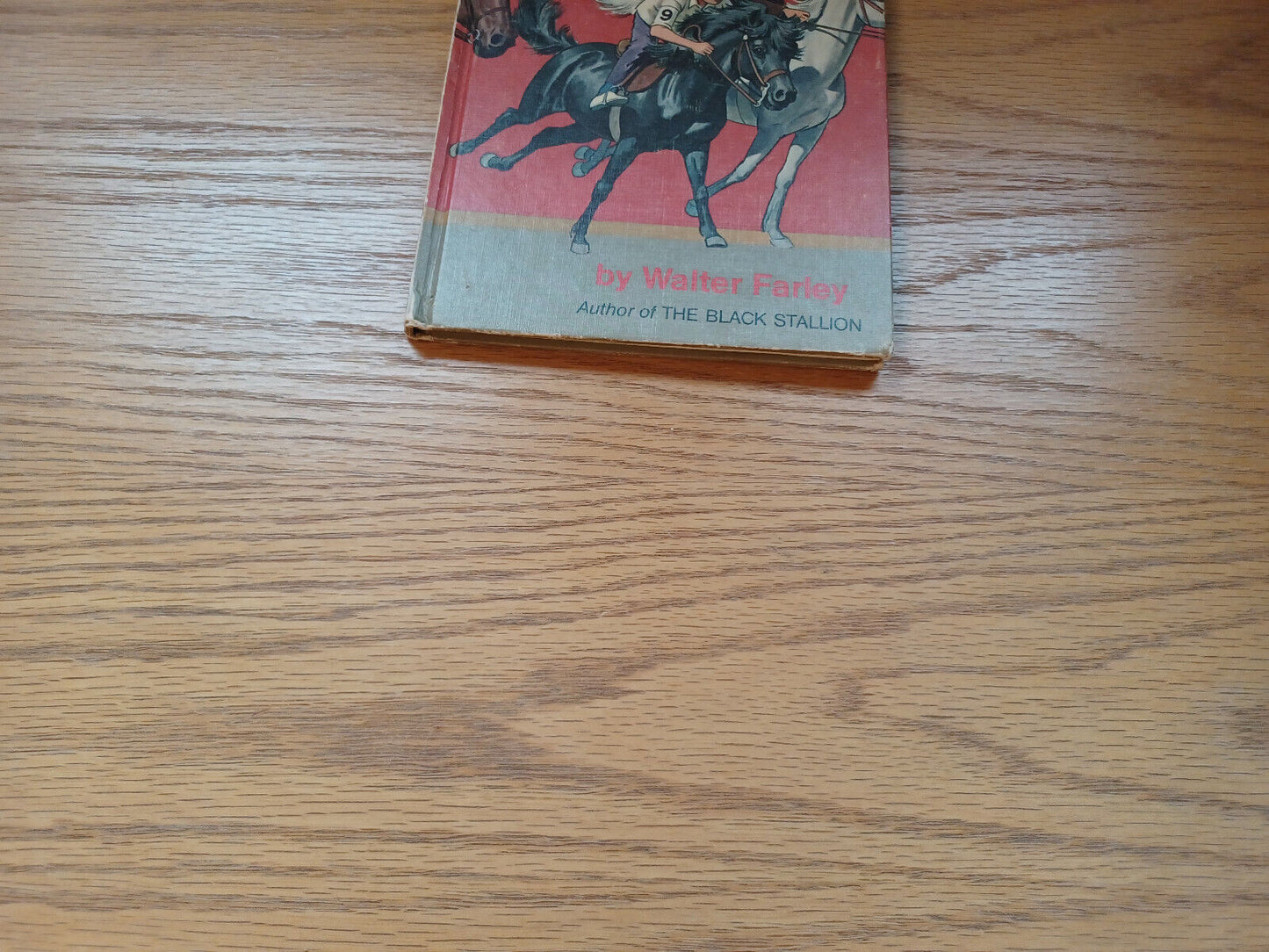 The Little Black Pony Races By Walter Farley 1968