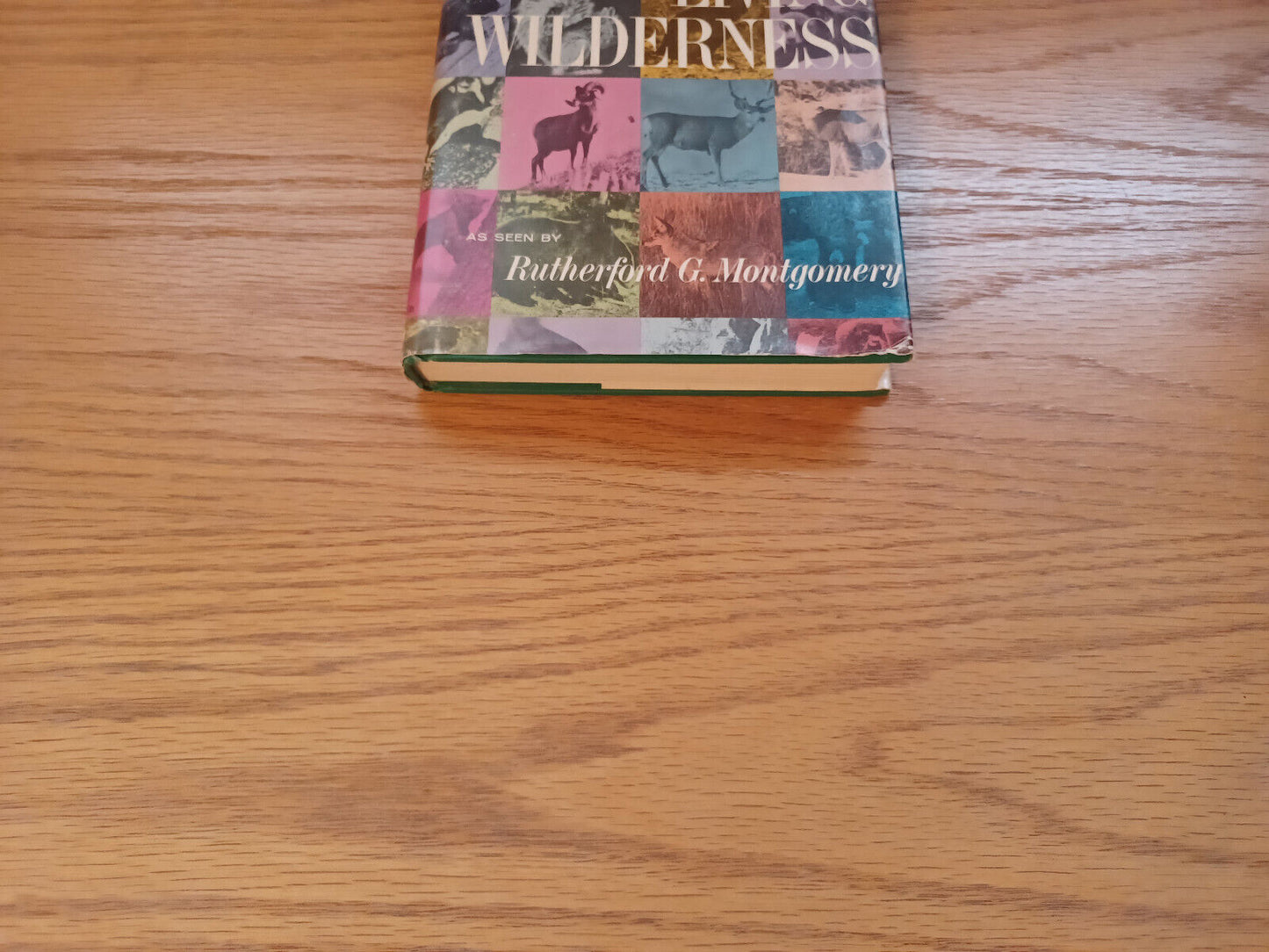 The Living Wilderness Rutherford G Montgomery 1964 Dust Jacket