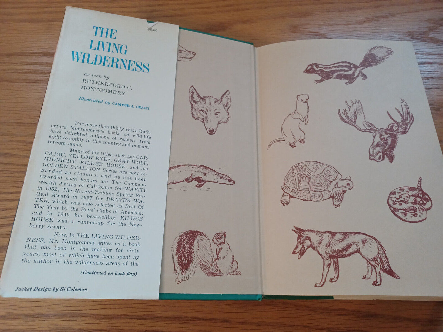 The Living Wilderness Rutherford G Montgomery 1964 Dust Jacket