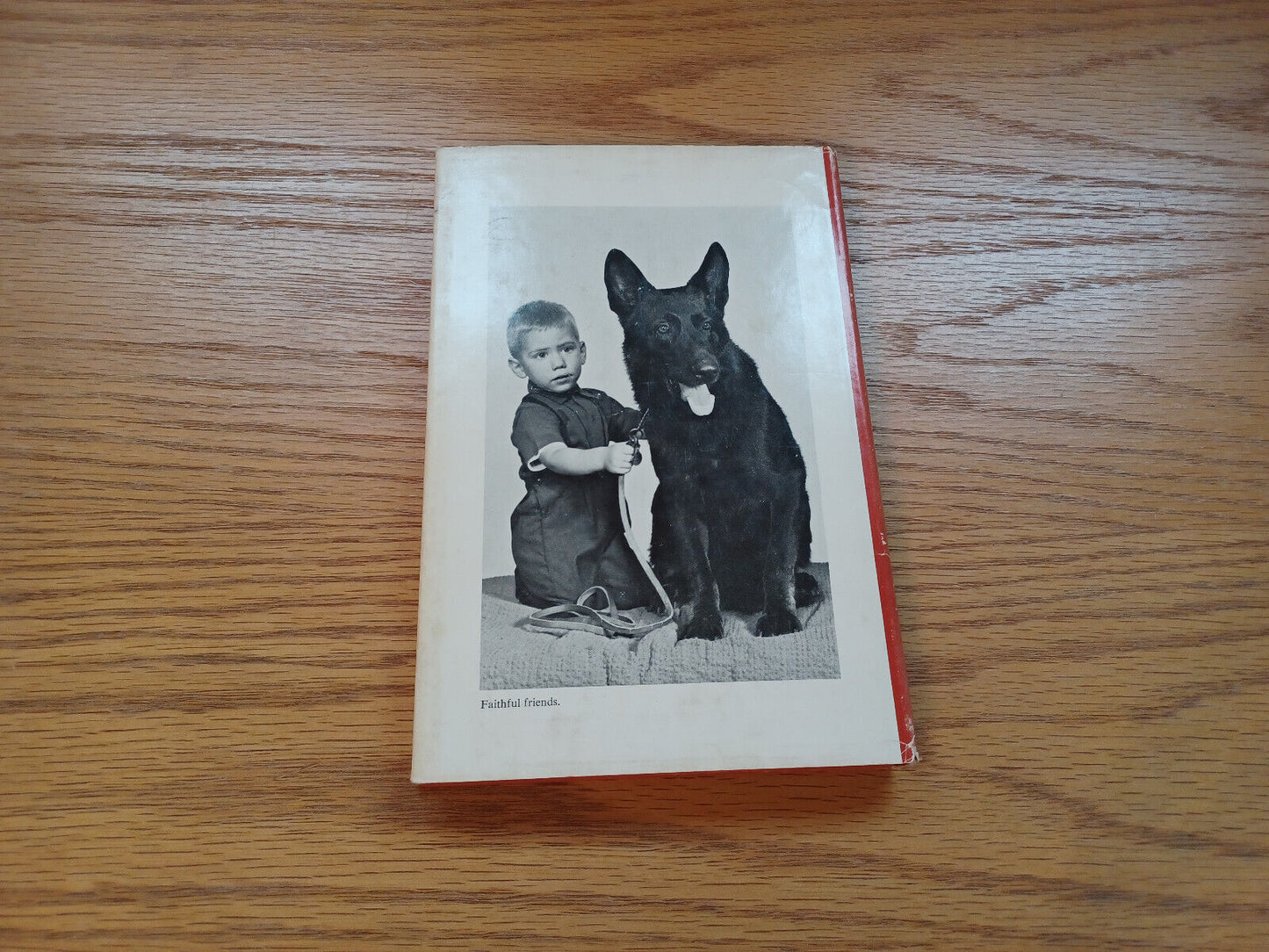 Your German Shepherd By Reginald Cleveland 1966 1st Edition Dust Jacket