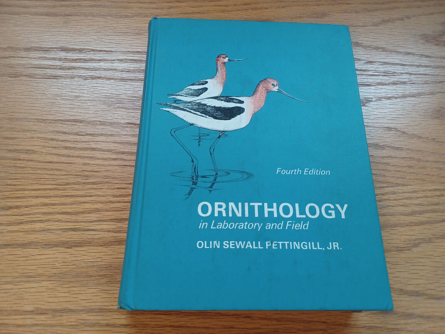 Ornithology In Laboratory Enfield By Olin Pettingill 1970 Fourth Edition