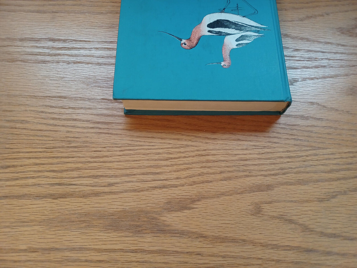 Ornithology In Laboratory Enfield By Olin Pettingill 1970 Fourth Edition