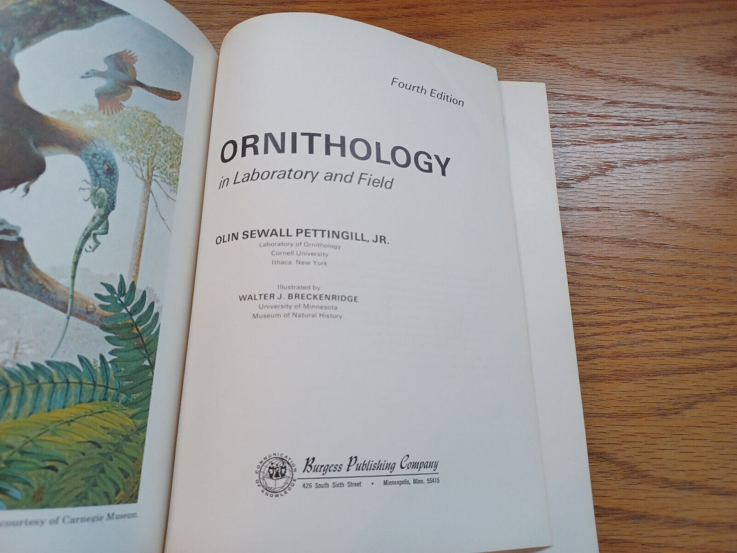 Ornithology In Laboratory Enfield By Olin Pettingill 1970 Fourth Edition