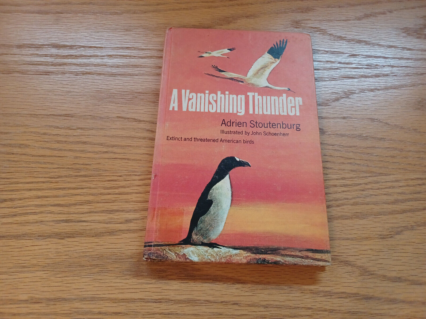 A Vanishing Thunder Adrien Stoutenburg 1967