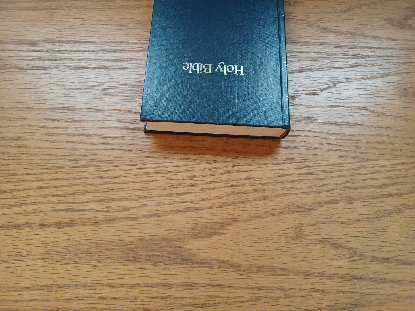 Holy Bible New International Version 1984