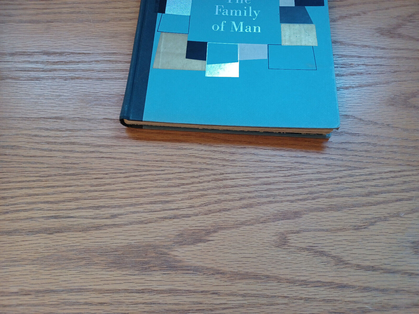 The Family Of Man By Jerry Mason 1955