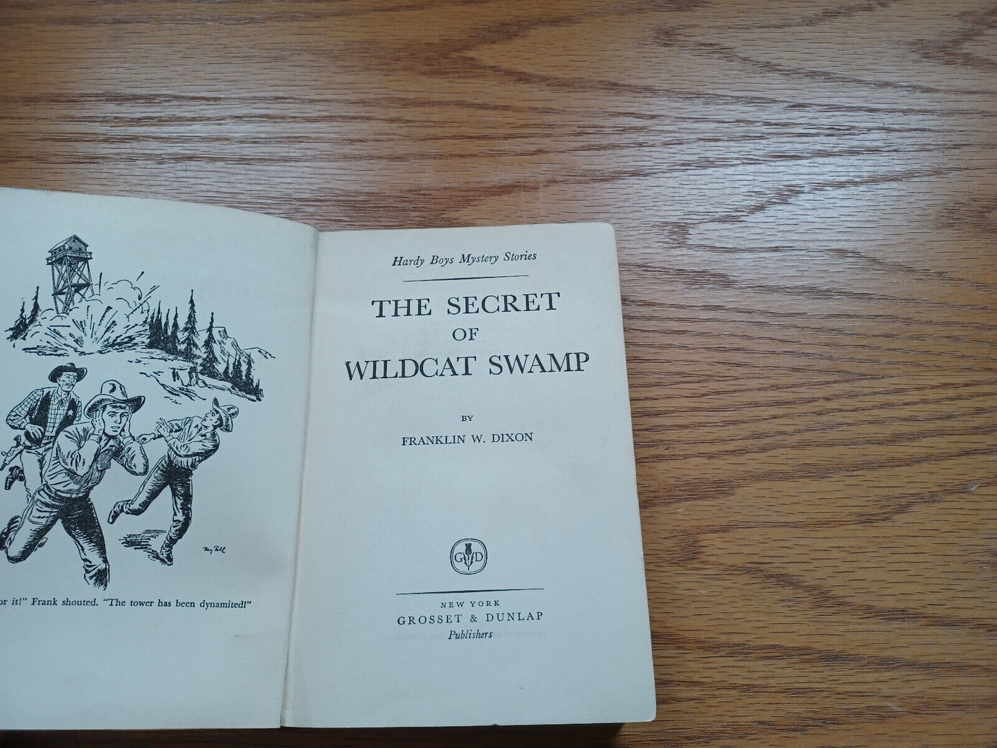 The Secret Of Wildcats Swamp By Franklin Dixon 1952