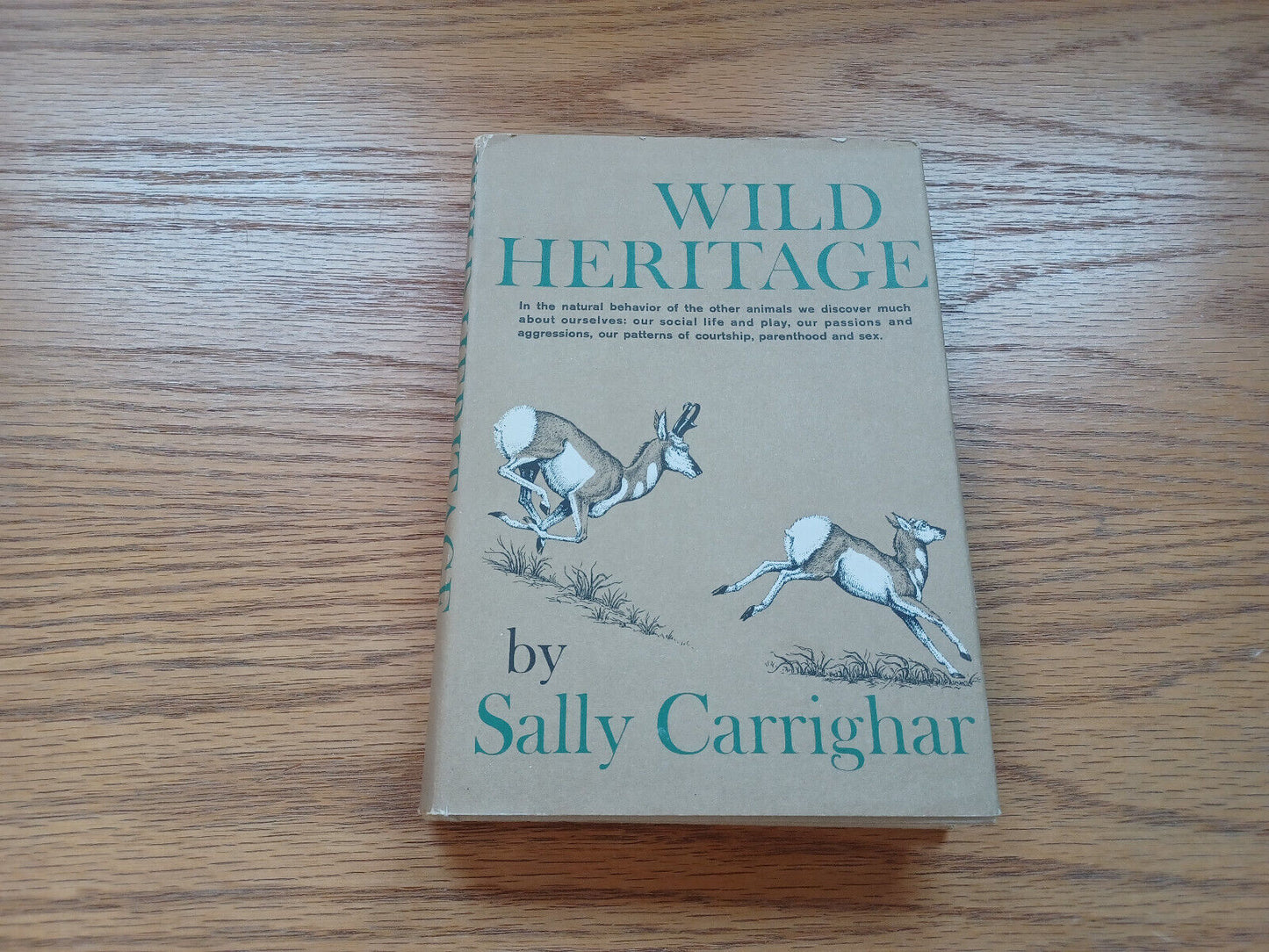 Wild Heritage By Sally Carrighar 1965 First Edition Dust Jacket