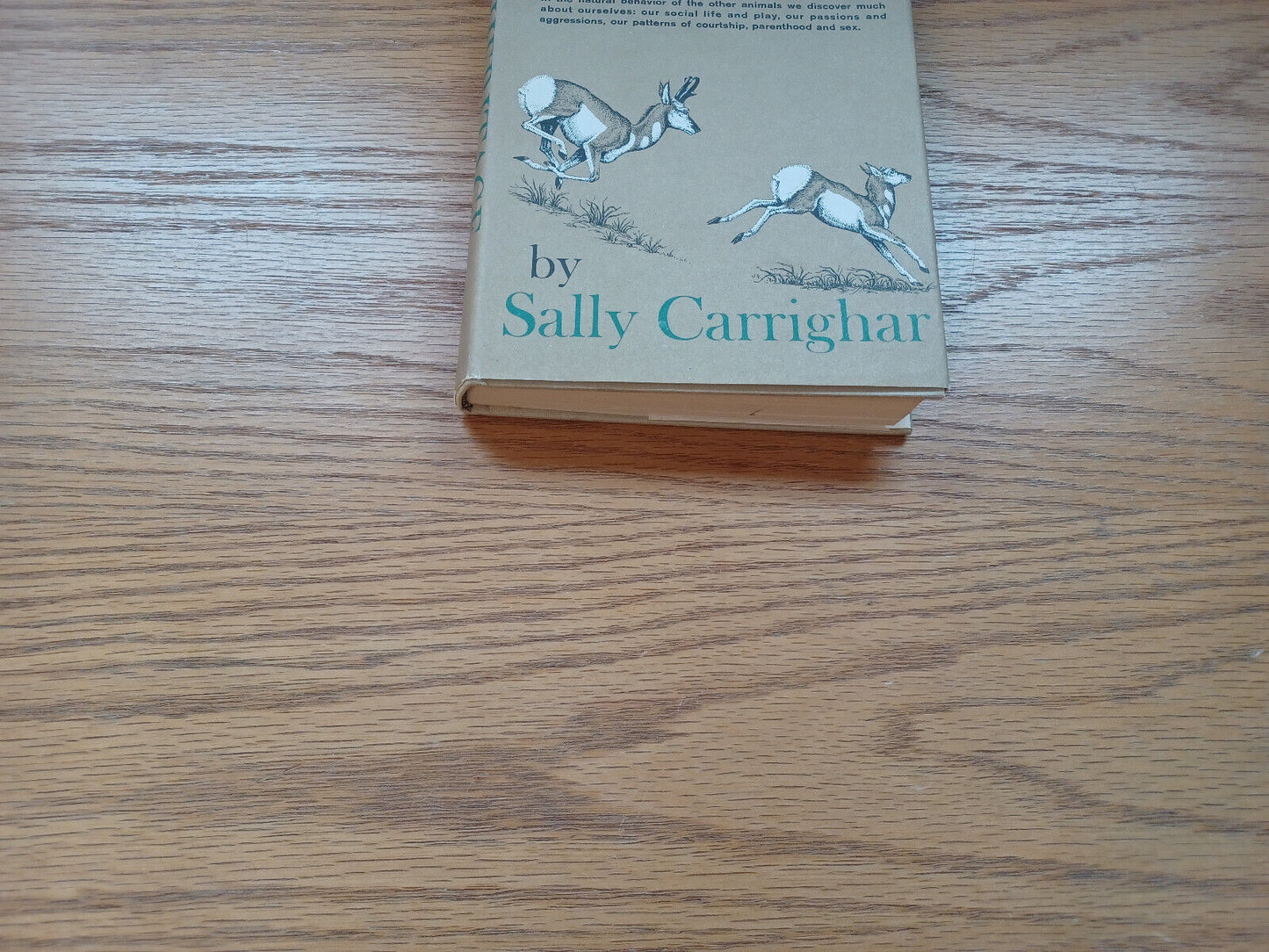 Wild Heritage By Sally Carrighar 1965 First Edition Dust Jacket