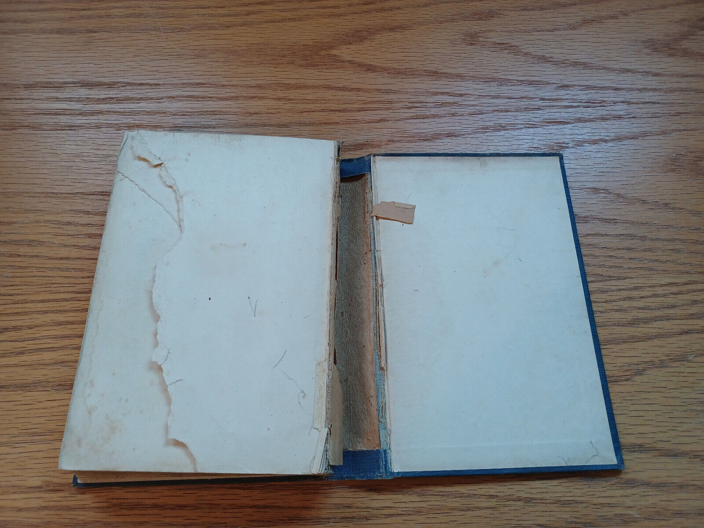 A Modern English Grammar And Composition Revised With Practical Exercises 1916