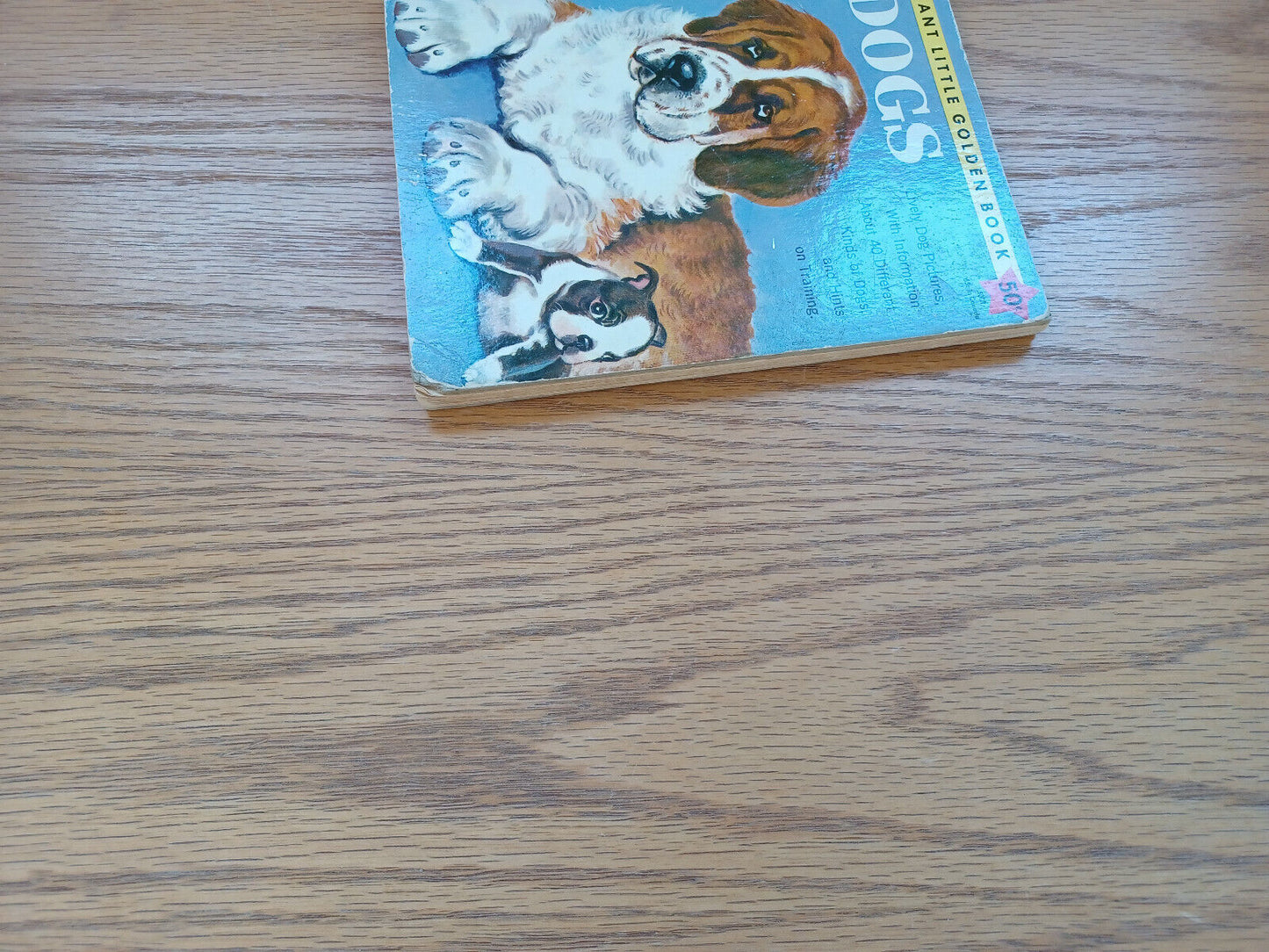 The Giant Little Golden Book Of Dogs Kathleen N Daly 1957 A