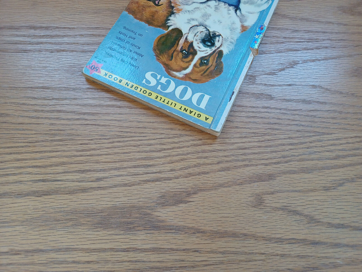 The Giant Little Golden Book Of Dogs Kathleen N Daly 1957 A