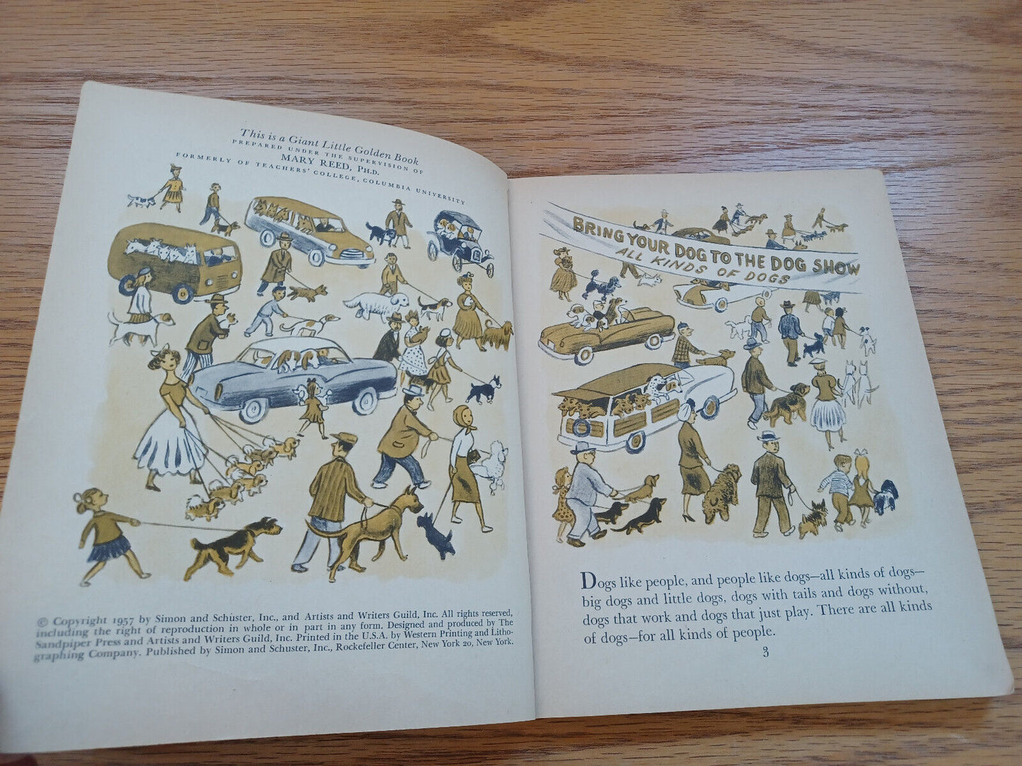 The Giant Little Golden Book Of Dogs Kathleen N Daly 1957 A