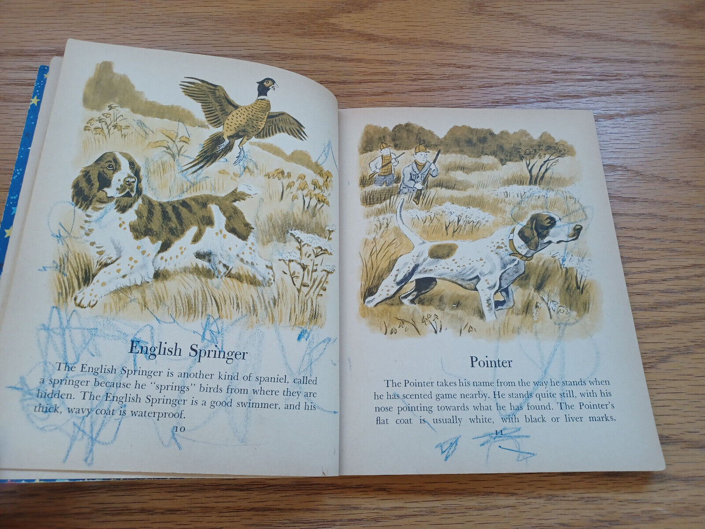 The Giant Little Golden Book Of Dogs Kathleen N Daly 1957 A