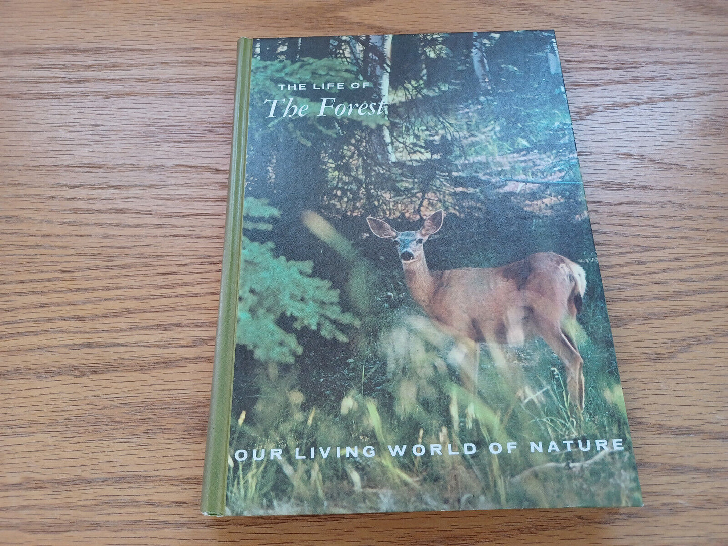 The Life Of The Forest By Jack Mccormick 1969