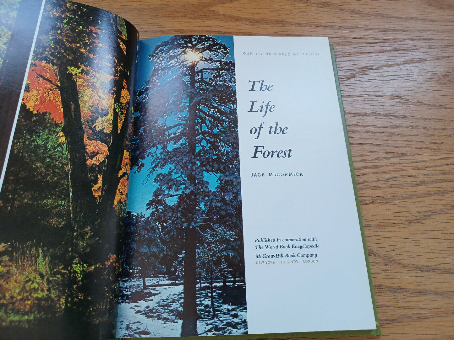 The Life Of The Forest By Jack Mccormick 1969