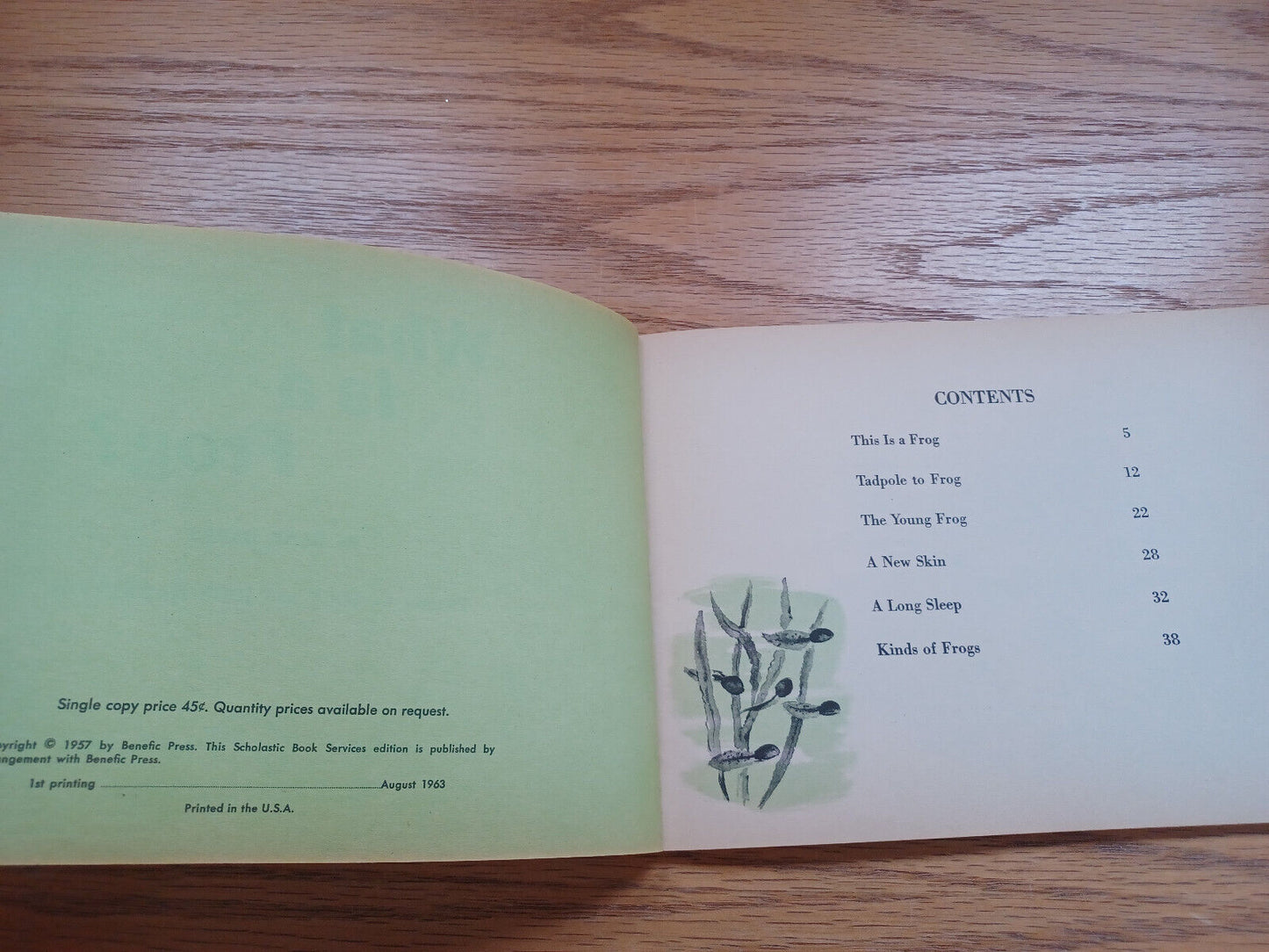 What Is A Frog Gene Darby 1963 1St Printing