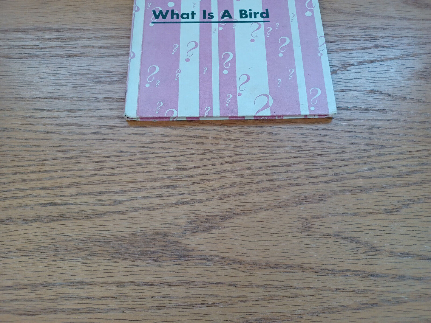 What Is A Bird By Gene Darby 1960