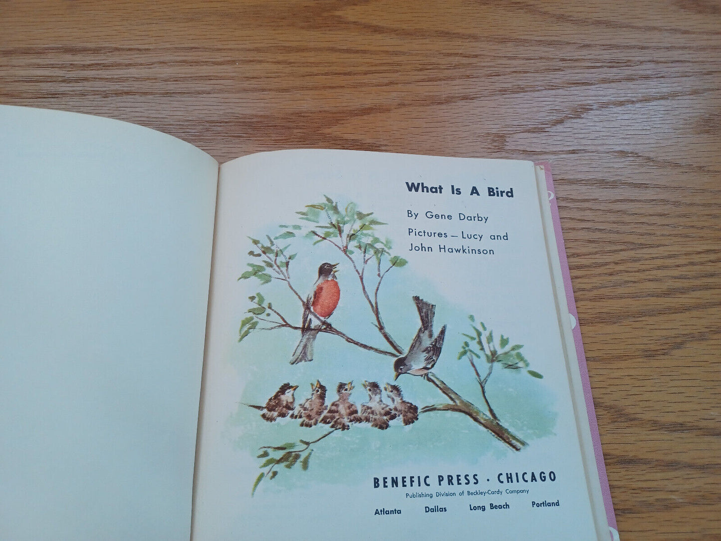 What Is A Bird By Gene Darby 1960