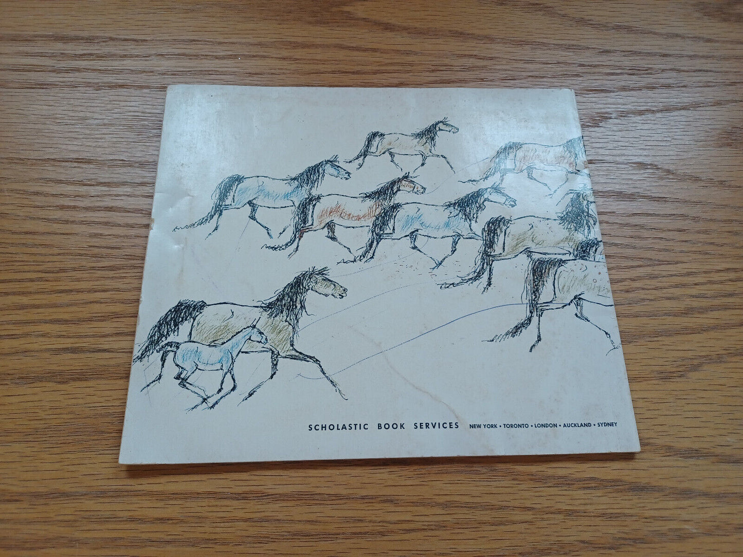 Wild Horses Of The Red Desert By Glenn Rounds 1971 First Edition