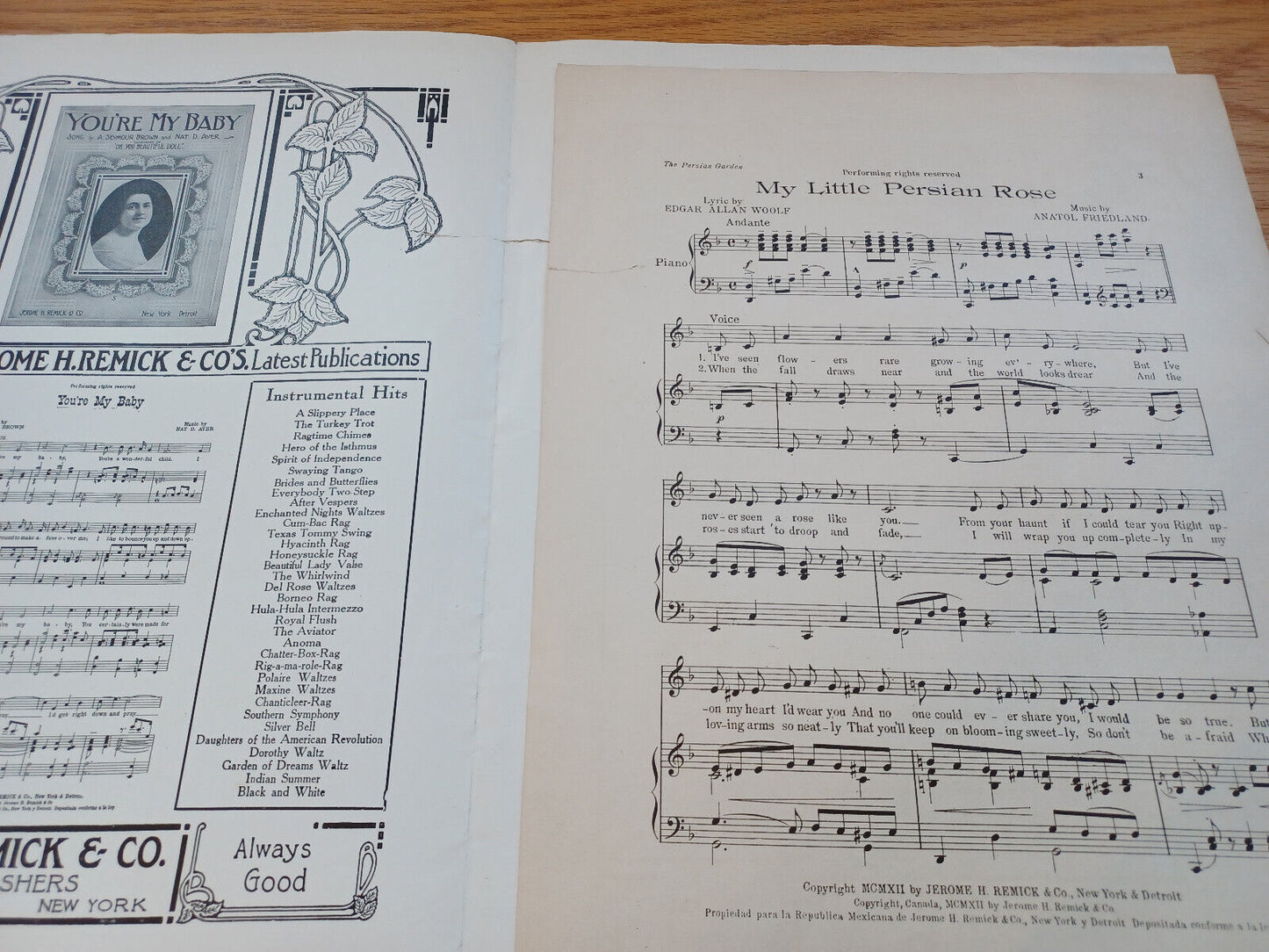 A Persian Garden My Little Persian Rose Louis A Simon 1912