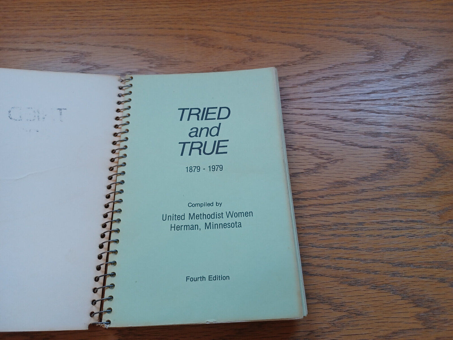 Tried And True 1879-1979 United Methodist Women Herman Minnesota