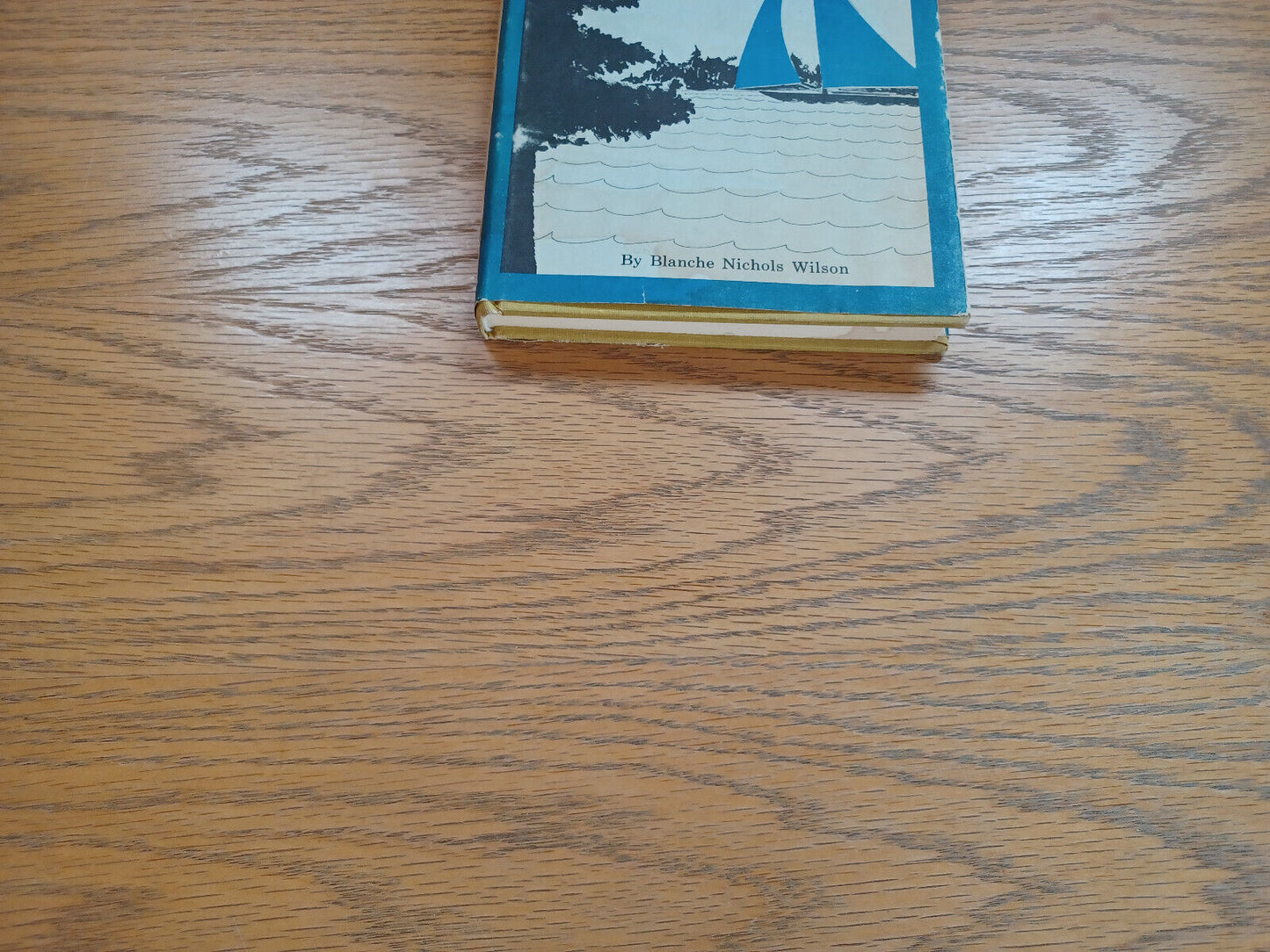 Minnetonka Story Blanche Nichols Wilson 1971 Hardcover Dust Jacket Ross & Haines