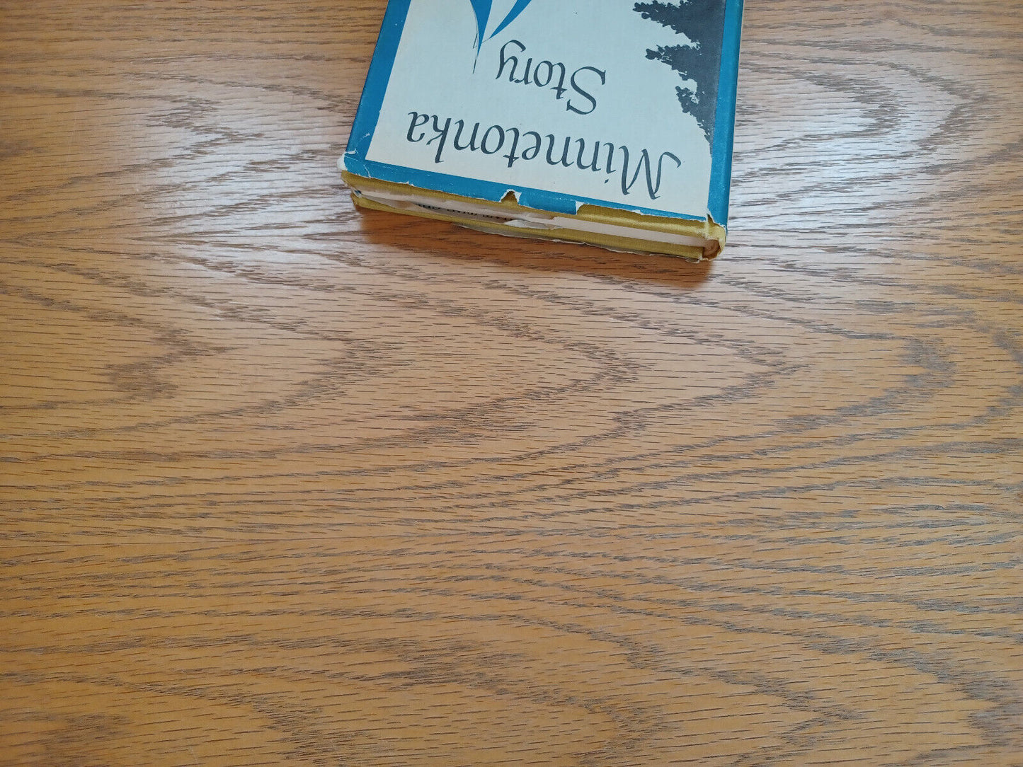 Minnetonka Story Blanche Nichols Wilson 1971 Hardcover Dust Jacket Ross & Haines
