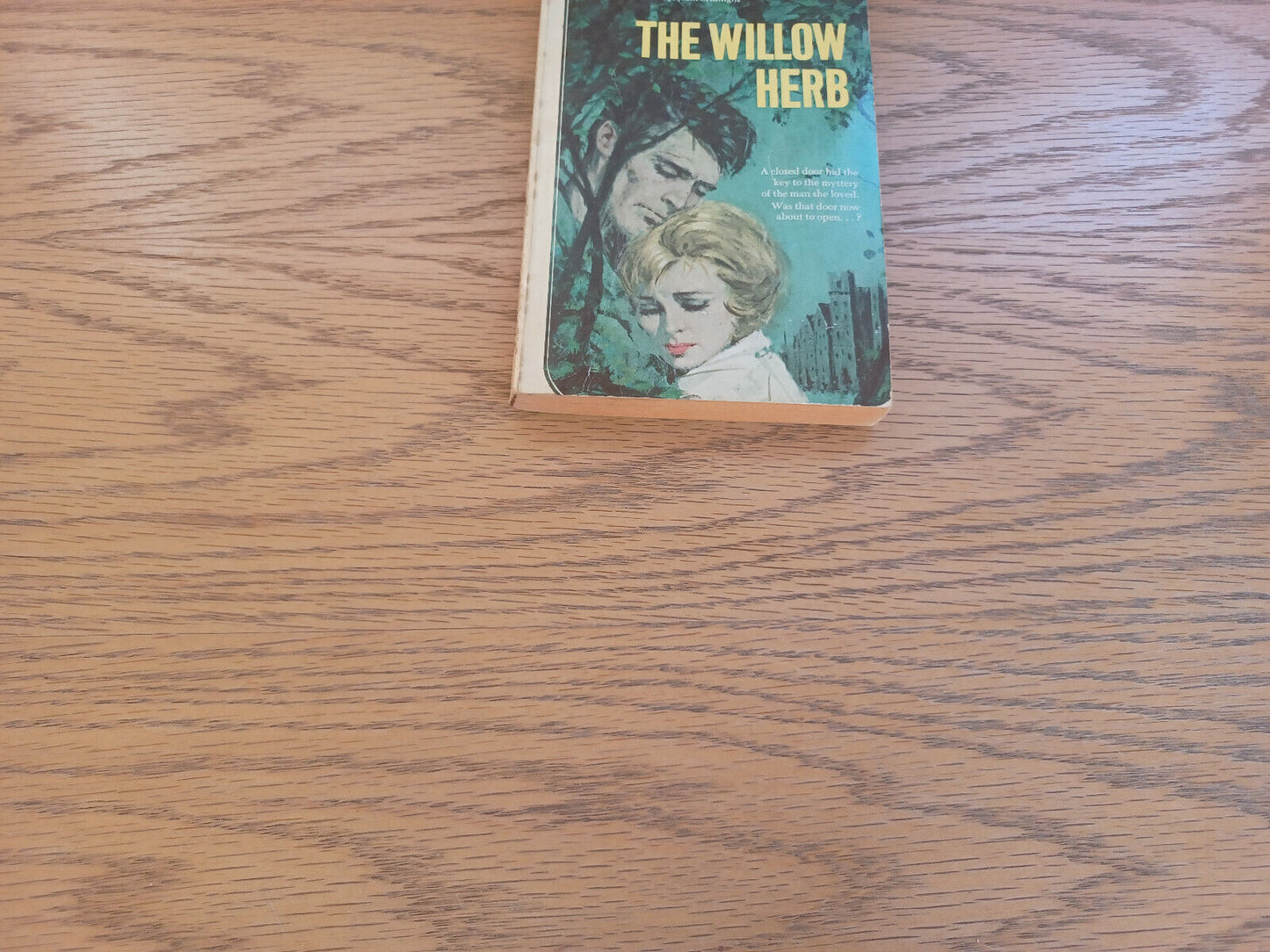 The Willow Herb Rona Randall 1964 Paperback Ace Books