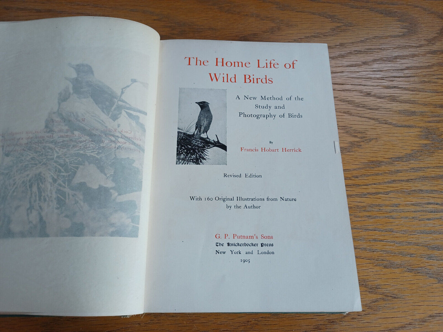 The Home Life of Wild Birds Francis Hobart Herrick 1905 Hardcover G P Putnam’s S