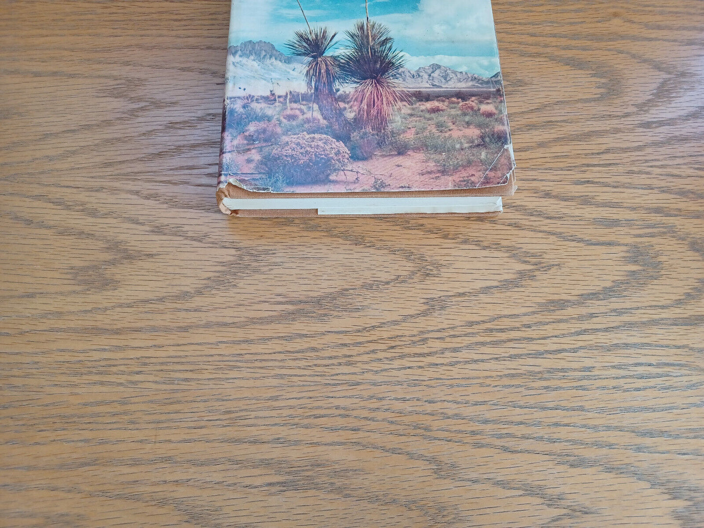 This Is New Mexico George Fitzpatrick 1962 Horn & Wallace Hardcover Dust Jacket